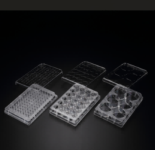 超低吸附3D培養(yǎng)板